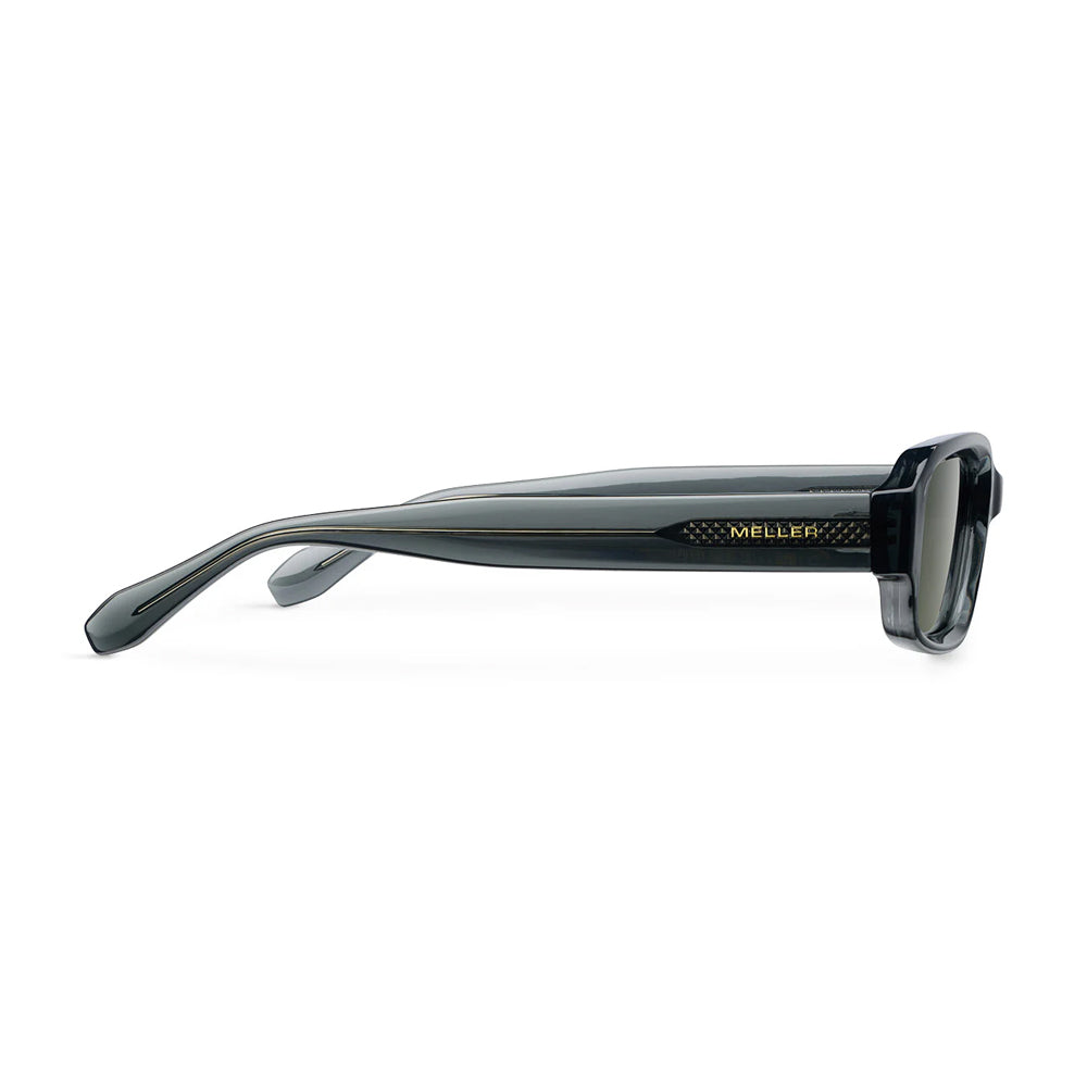 Azzi (Fossil Olive)