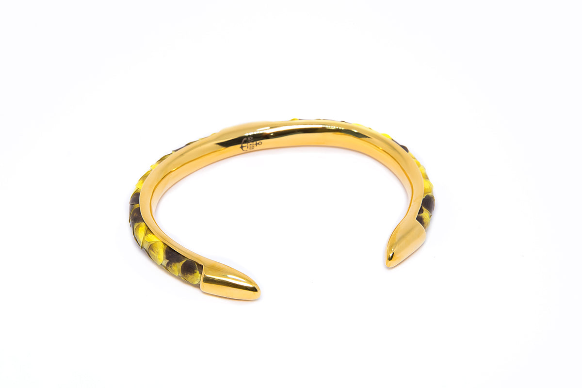 Python Bangle