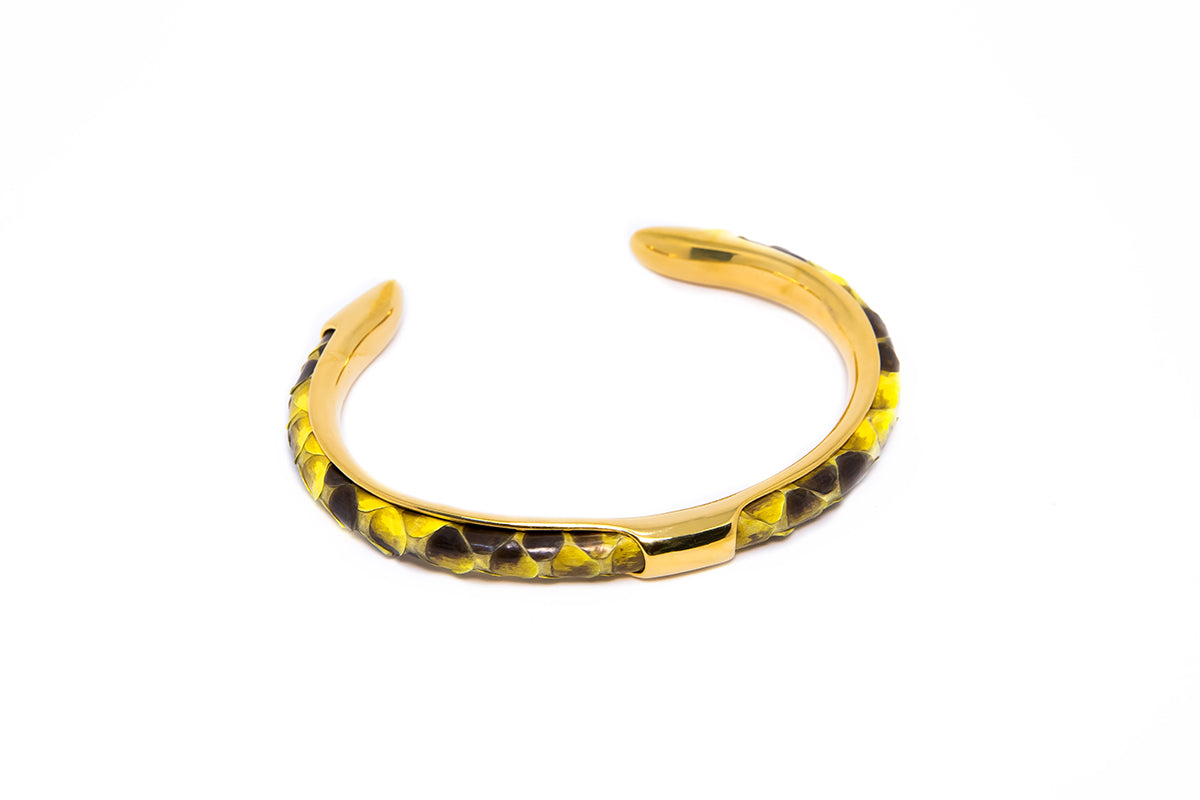 Python Bangle