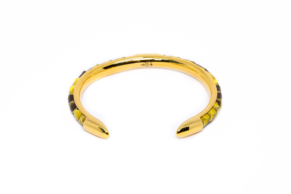 Python Bangle