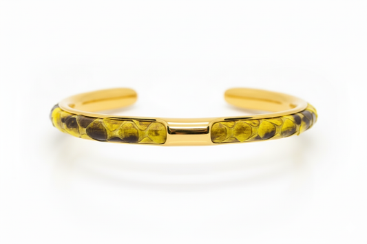 Python Bangle