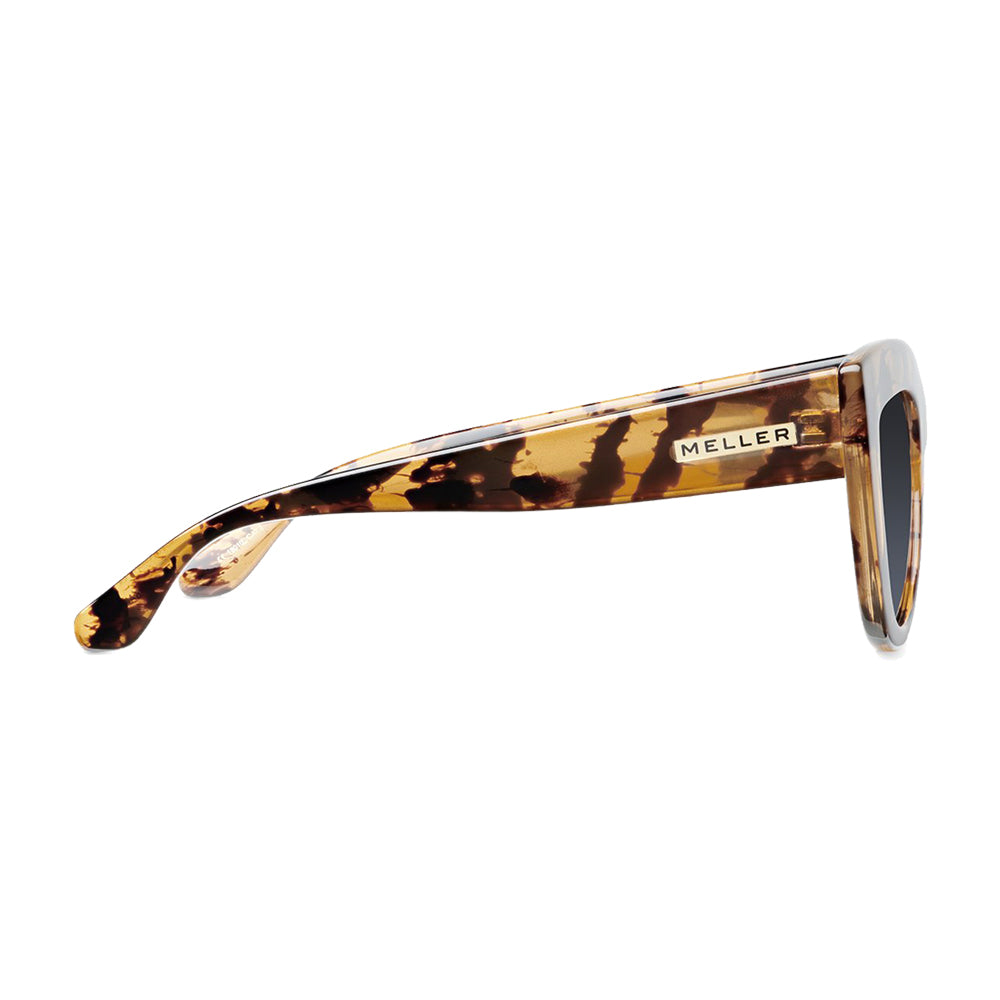 Karoo (Tigris Carbon)
