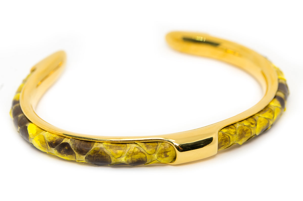 Bangle Python