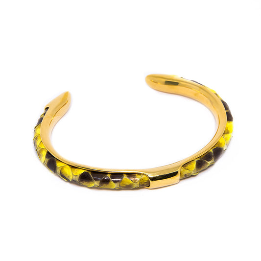 Python Bangle